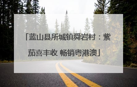 蓝山县所城镇舜岩村：紫茄喜丰收 畅销粤港澳