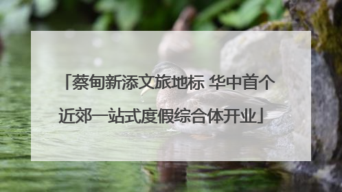 蔡甸新添文旅地标 华中首个近郊一站式度假综合体开业