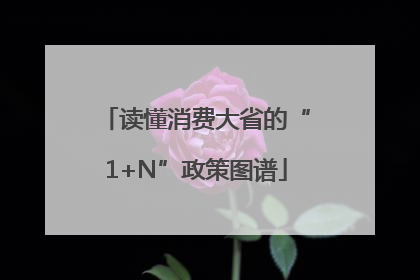 读懂消费大省的“1+N”政策图谱