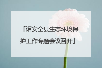 诏安全县生态环境保护工作专题会议召开