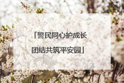 警民同心护成长 团结共筑平安园