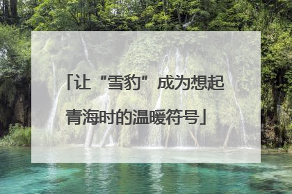 让“雪豹”成为想起青海时的温暖符号