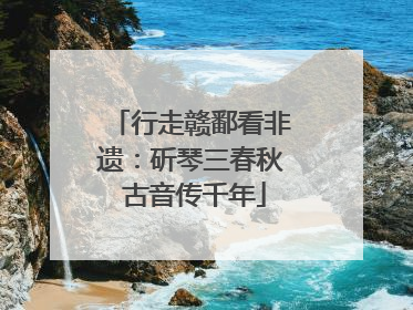 行走赣鄱看非遗：斫琴三春秋 古音传千年