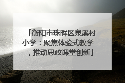 衡阳市珠晖区泉溪村小学：聚焦体验式教学，推动思政课堂创新