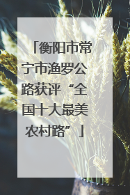 衡阳市常宁市渔罗公路获评“全国十大最美农村路”