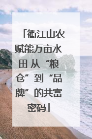 衢江山农赋能万亩水田 从“粮仓”到“品牌”的共富密码