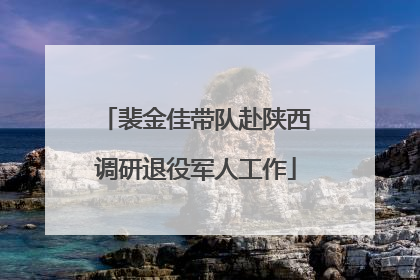 裴金佳带队赴陕西调研退役军人工作