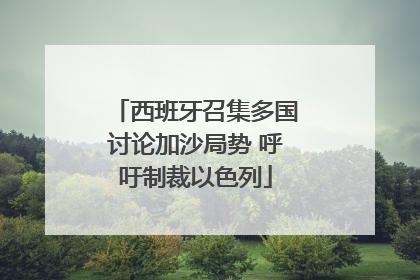 西班牙召集多国讨论加沙局势 呼吁制裁以色列