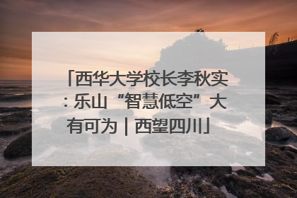 西华大学校长李秋实：乐山“智慧低空”大有可为｜西望四川