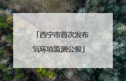 西宁市首次发布氧环境监测公报