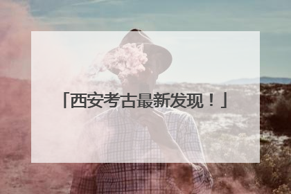 西安考古最新发现！