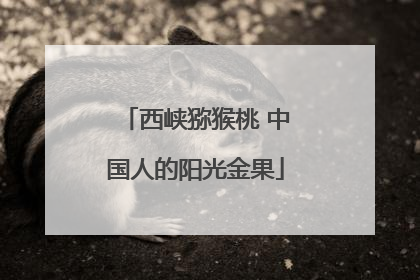西峡猕猴桃 中国人的阳光金果
