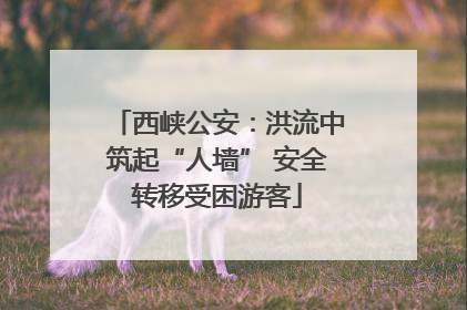西峡公安：洪流中筑起“人墙” 安全转移受困游客