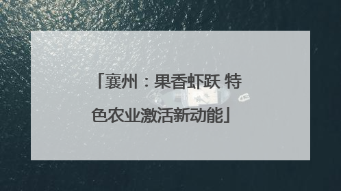 襄州：果香虾跃 特色农业激活新动能