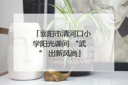 襄阳市清河口小学阳光课间 “武” 出新风尚