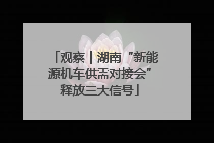 观察｜湖南“新能源机车供需对接会”释放三大信号