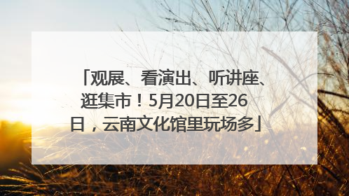 观展、看演出、听讲座、逛集市！5月20日至26日，云南文化馆里玩场多