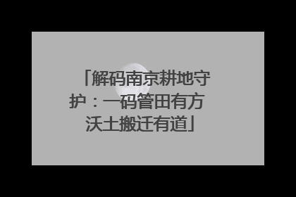 解码南京耕地守护：一码管田有方 沃土搬迁有道