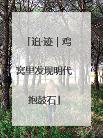 追·迹｜鸡窝里发现明代抱鼓石
