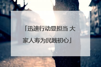 迅速行动显担当 大家人寿为民践初心