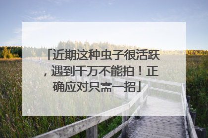 近期这种虫子很活跃，遇到千万不能拍！正确应对只需一招
