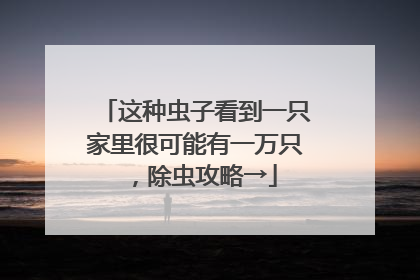 这种虫子看到一只家里很可能有一万只，除虫攻略→