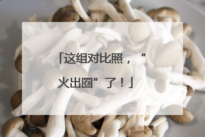 这组对比照，“火出圈”了！