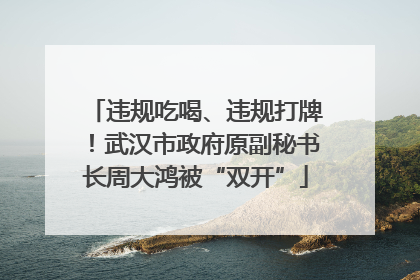 违规吃喝、违规打牌！武汉市政府原副秘书长周大鸿被“双开”