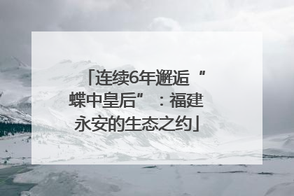 连续6年邂逅“蝶中皇后”：福建永安的生态之约