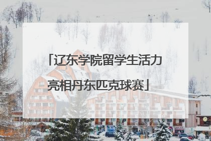 辽东学院留学生活力亮相丹东匹克球赛