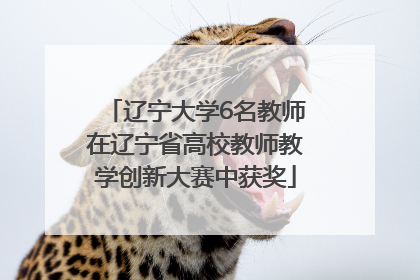 辽宁大学6名教师在辽宁省高校教师教学创新大赛中获奖