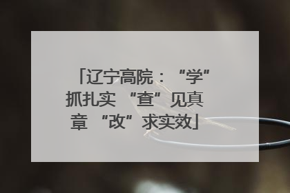辽宁高院：“学”抓扎实 “查”见真章 “改”求实效