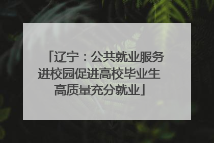 辽宁：公共就业服务进校园促进高校毕业生高质量充分就业