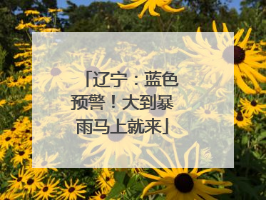 辽宁：蓝色预警！大到暴雨马上就来