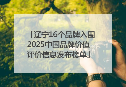 辽宁16个品牌入围2025中国品牌价值评价信息发布榜单