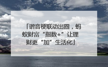 谐音梗联动出圈，蚂蚁财富“指数+”让理财更“加”生活化