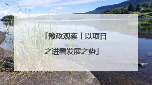 豫政观察丨以项目之进看发展之势
