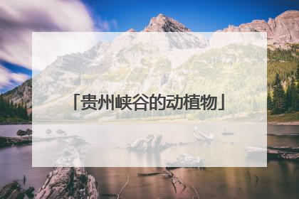 贵州峡谷的动植物