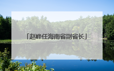 赵峰任海南省副省长