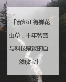 赛尔正得蝉花虫草，千年智慧与科技赋能的自然瑰宝
