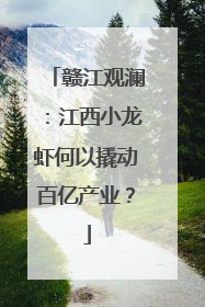 赣江观澜：江西小龙虾何以撬动百亿产业？
