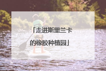 走进斯里兰卡的橡胶种植园