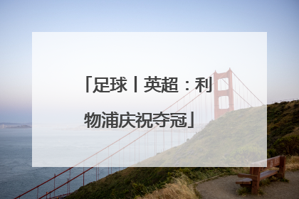 足球丨英超：利物浦庆祝夺冠