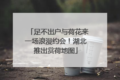 足不出户与荷花来一场浪漫约会！湖北推出赏荷地图