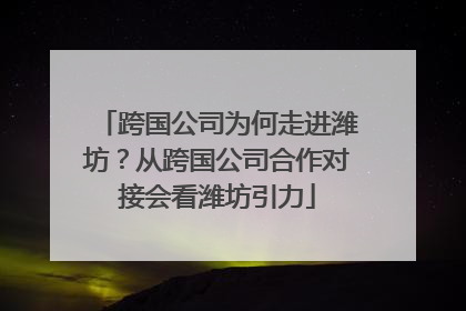 跨国公司为何走进潍坊？从跨国公司合作对接会看潍坊引力