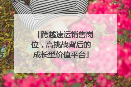 跨越速运销售岗位，高挑战背后的成长型价值平台