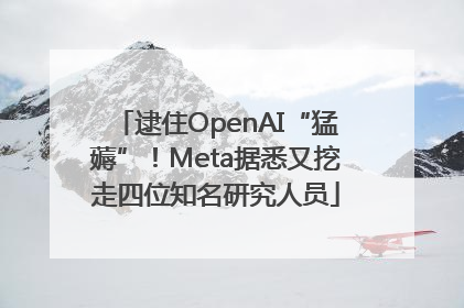 逮住OpenAI“猛薅”！Meta据悉又挖走四位知名研究人员