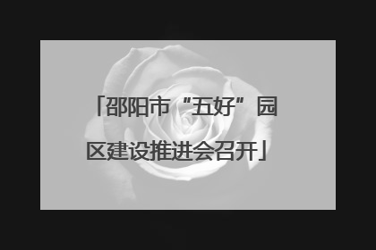 邵阳市“五好”园区建设推进会召开