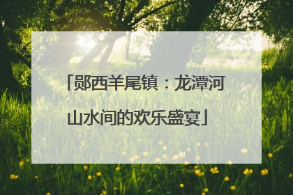 郧西羊尾镇：龙潭河山水间的欢乐盛宴