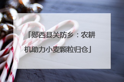 郧西县关防乡：农耕机助力小麦颗粒归仓